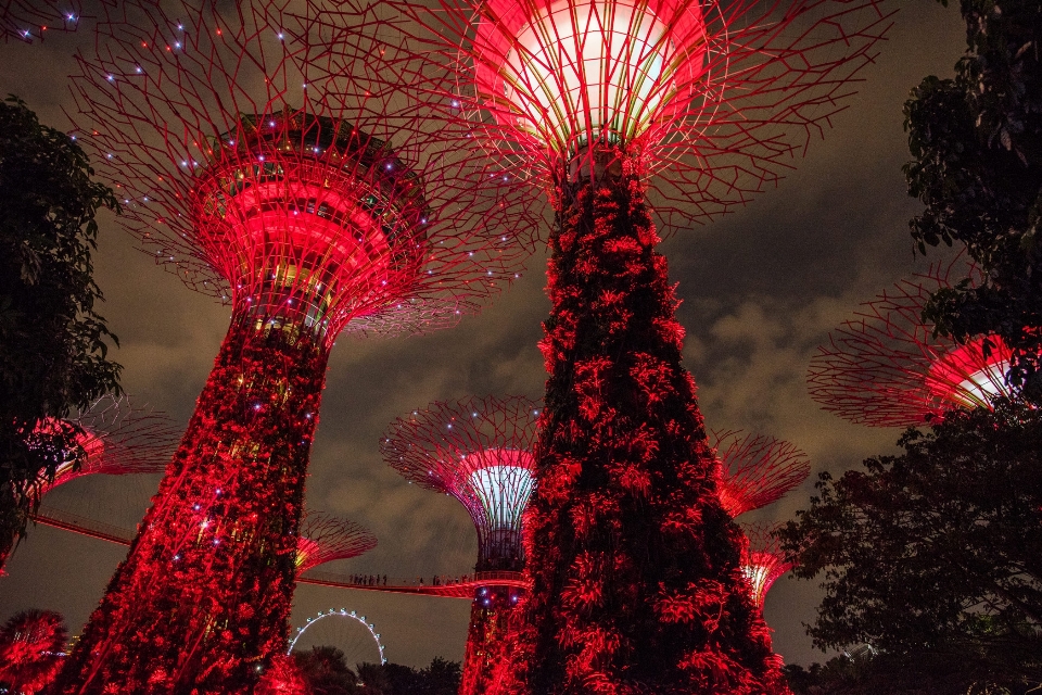 Merah tengara lampu pohon