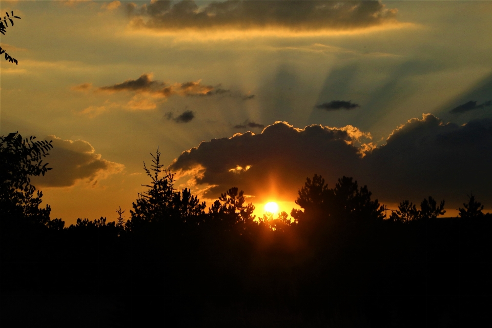 Sunset evening nature sun