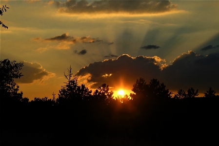 Sunset evening nature sun Photo