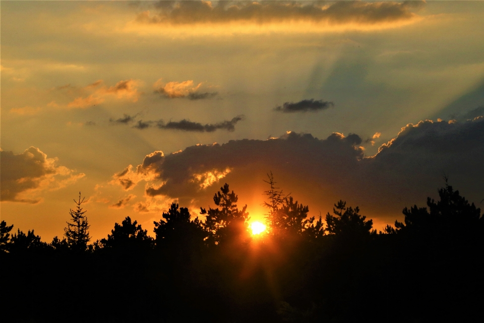 Sunset evening nature sun