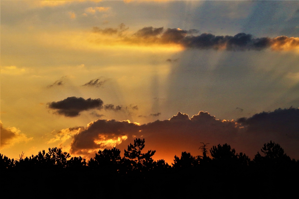 Sunset evening nature sun