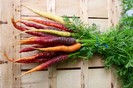 Carrot vegetable root food Photo