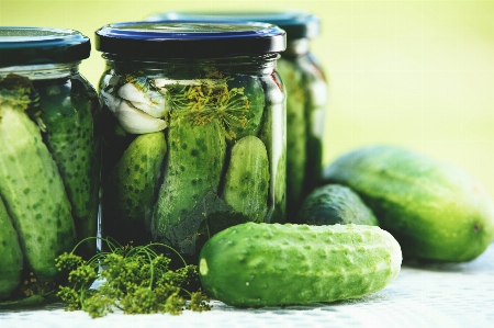 Gherkin cucumber gourd and melon family Photo