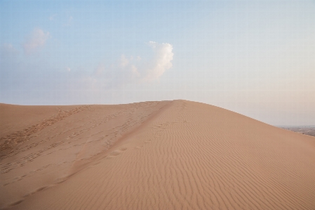 Desert sand erg aeolian landform Photo