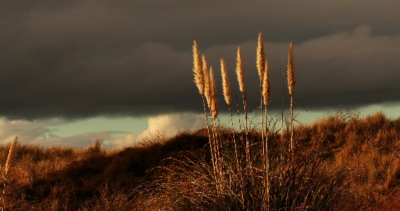 Foto Céu natureza fenômeno atmosférico
 paisagem natural
