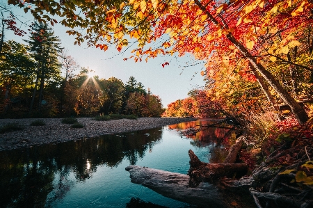 自然の風景
 自然 水域
 空 写真