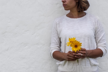 Foto Camiseta
 flor amarelo gérbera
