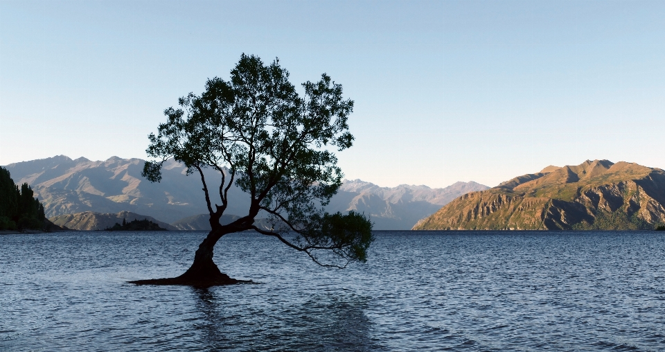 自然 自然の風景
 木 水