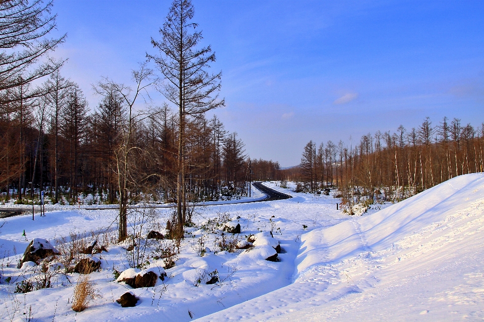 Hokkaido
 日本 雪 冬