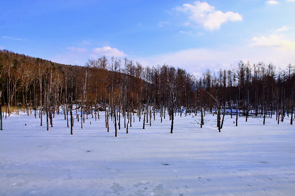 Hokkaido japan snow winter