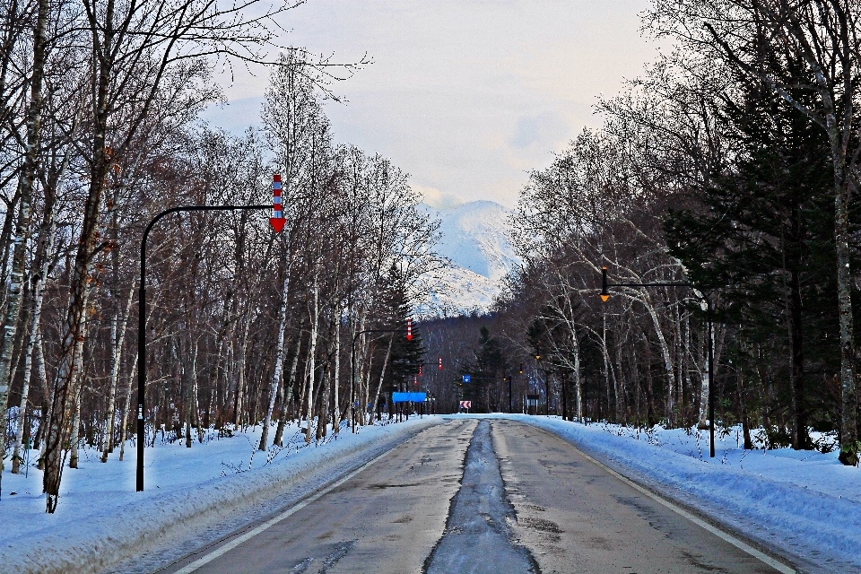 Hokkaido japan snow winter