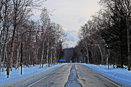 Hokkaido japan snow winter Photo