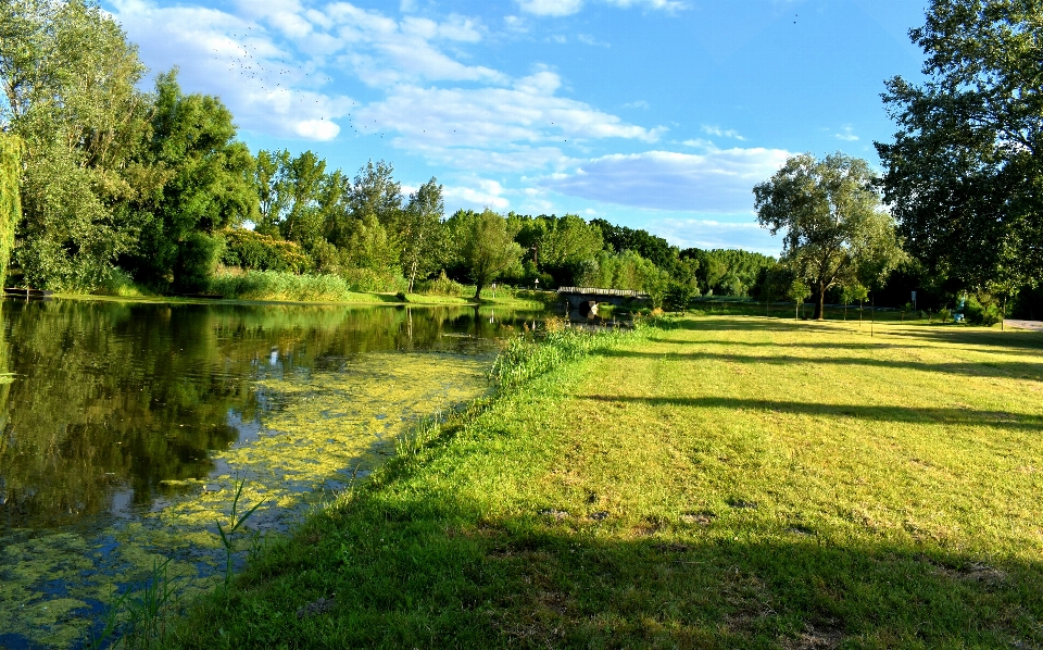 Natural landscape nature green