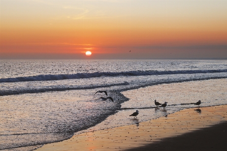 Sunset sea sky horizon Photo