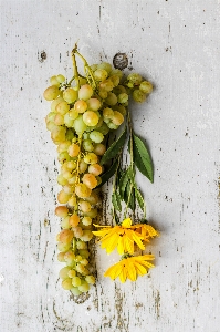 Anlage gelb stilllebenfotografie
 blume Foto