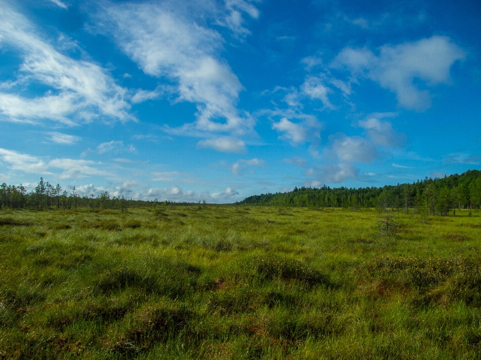 Image prairie
 paysage naturel
 ciel