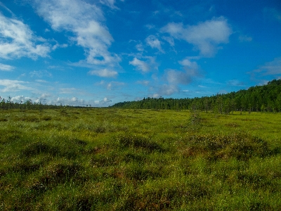 Image grassland natural landscape environment Photo