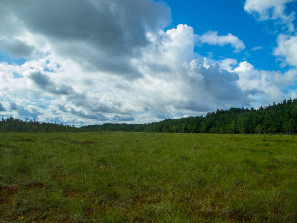 Image sky grassland natural landscape