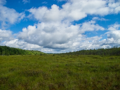 Image grassland natural landscape sky Photo