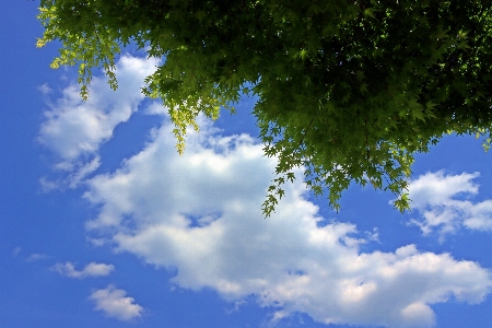 Sky blue cloud daytime Photo