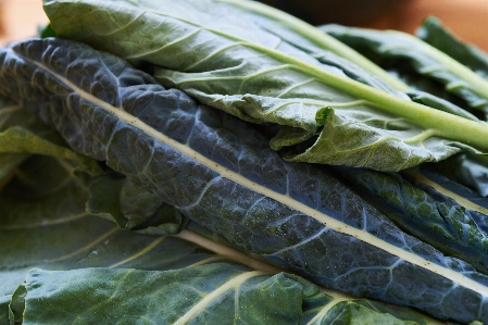 Food leaf vegetable collard greens chard Photo