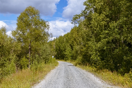 Road highway track motorway Photo