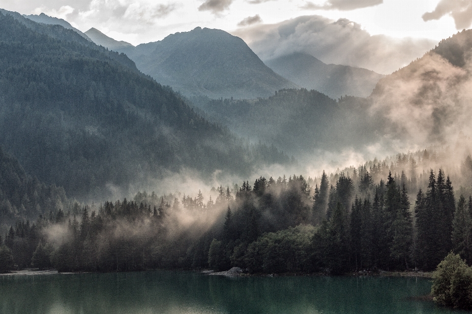 Nature natural landscape sky mist