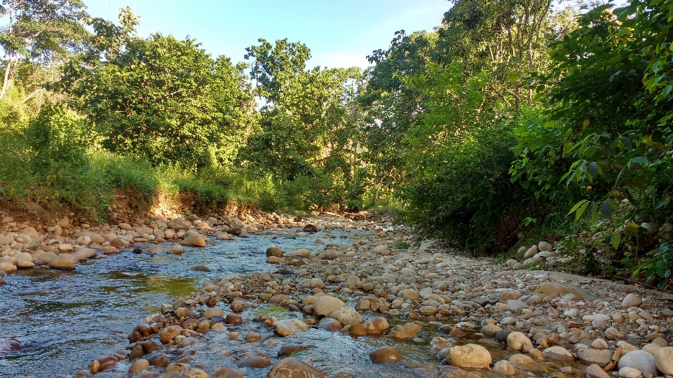 Landschaft fluss wasser steine