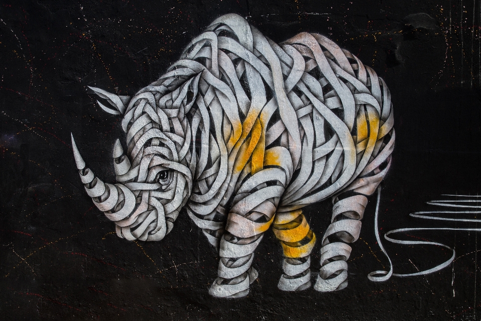 Bengal tiger street art