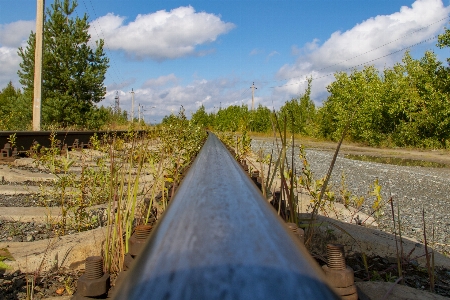 Rails railway trains rust Photo