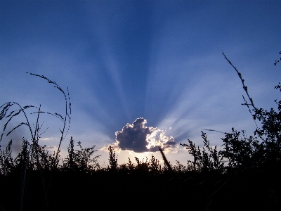 Sunset nature card background Photo