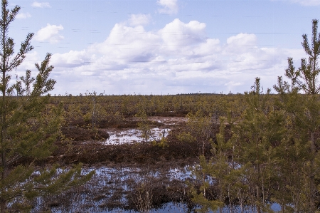 Landscape river valley boat Photo