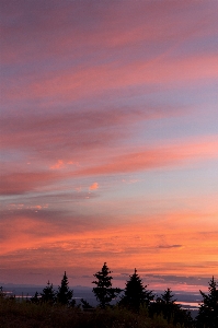 Sky afterglow red at morning cloud Photo