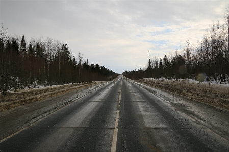 Road spring roadside track Photo