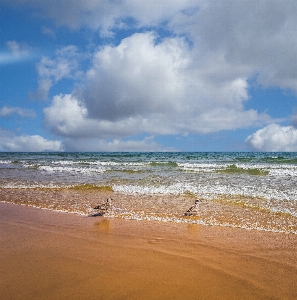 Beach sea body of water sky Photo