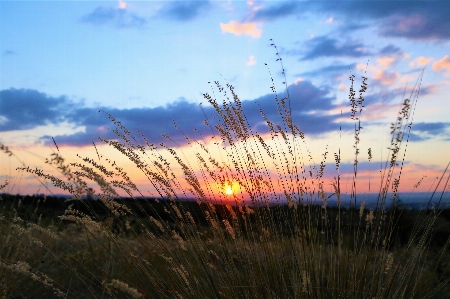 Sunset evening redness nature Photo