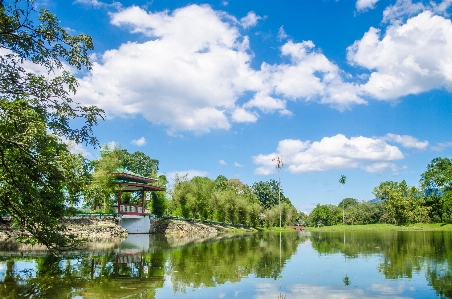 湖 公園 タイピン
 ペラ州
 写真