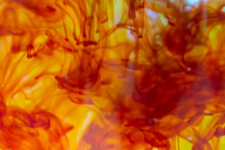 Orange yellow red amber Photo