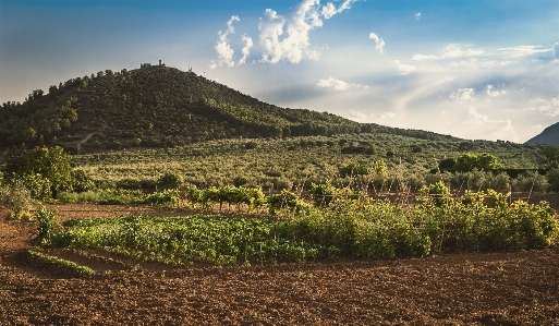 Landscape mountains clouds green Photo