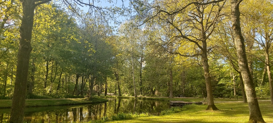 Green park water river