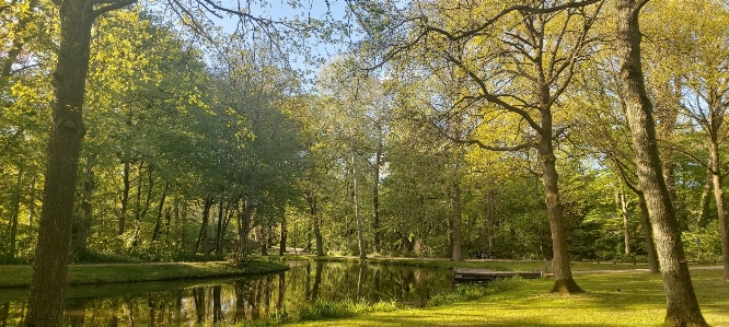 Green park water river Photo