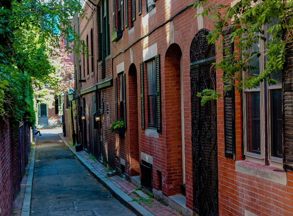 Neighbourhood street brick alley