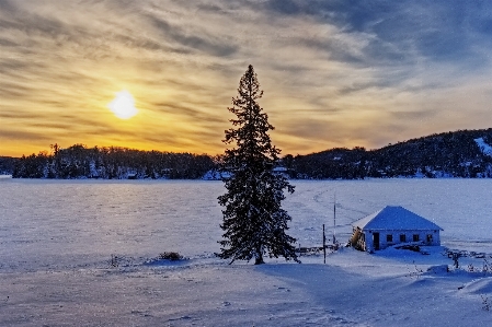 Boat house tree winter Photo