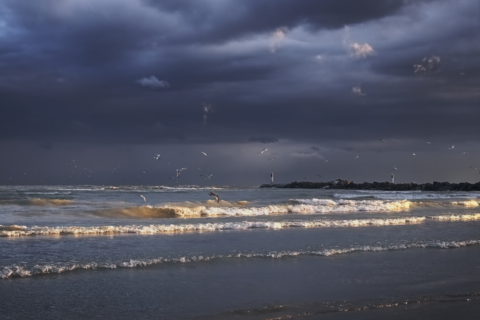 Sunset waves seagulls after storm