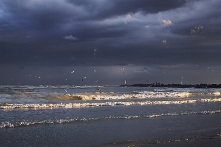 Sunset waves seagulls after storm Photo