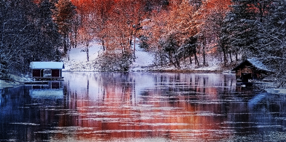 Lake trees branches leaves