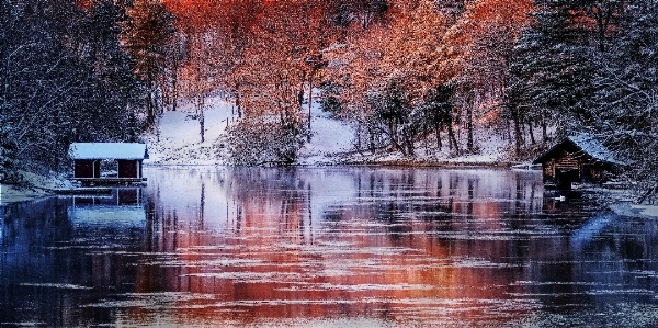 Lake trees branches leaves Photo