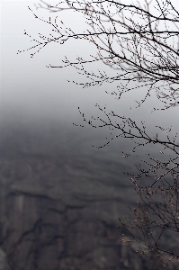 Photo Bifurquer eau ciel phénomène atmosphérique
