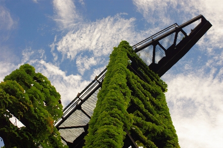 Sky industrial plant growth Photo