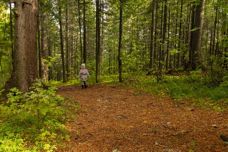 Abenteuer kind kinder märchen Foto